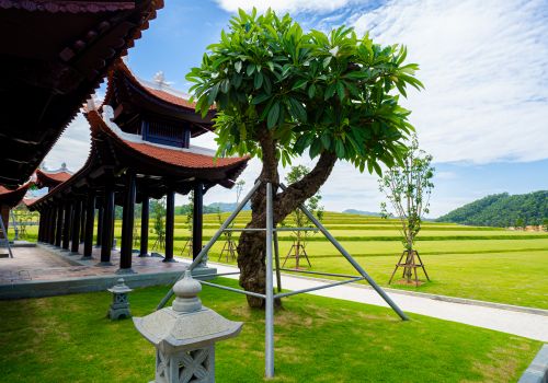 Hệ Thống Cảnh Quan Cây Xanh