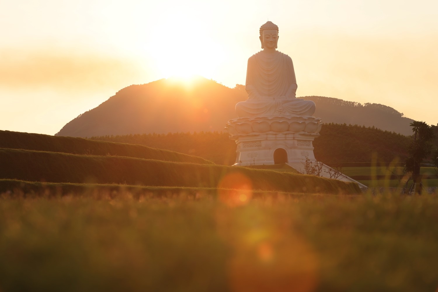 Thư viện ảnh Công viên Nghĩa trang Thiên Đường