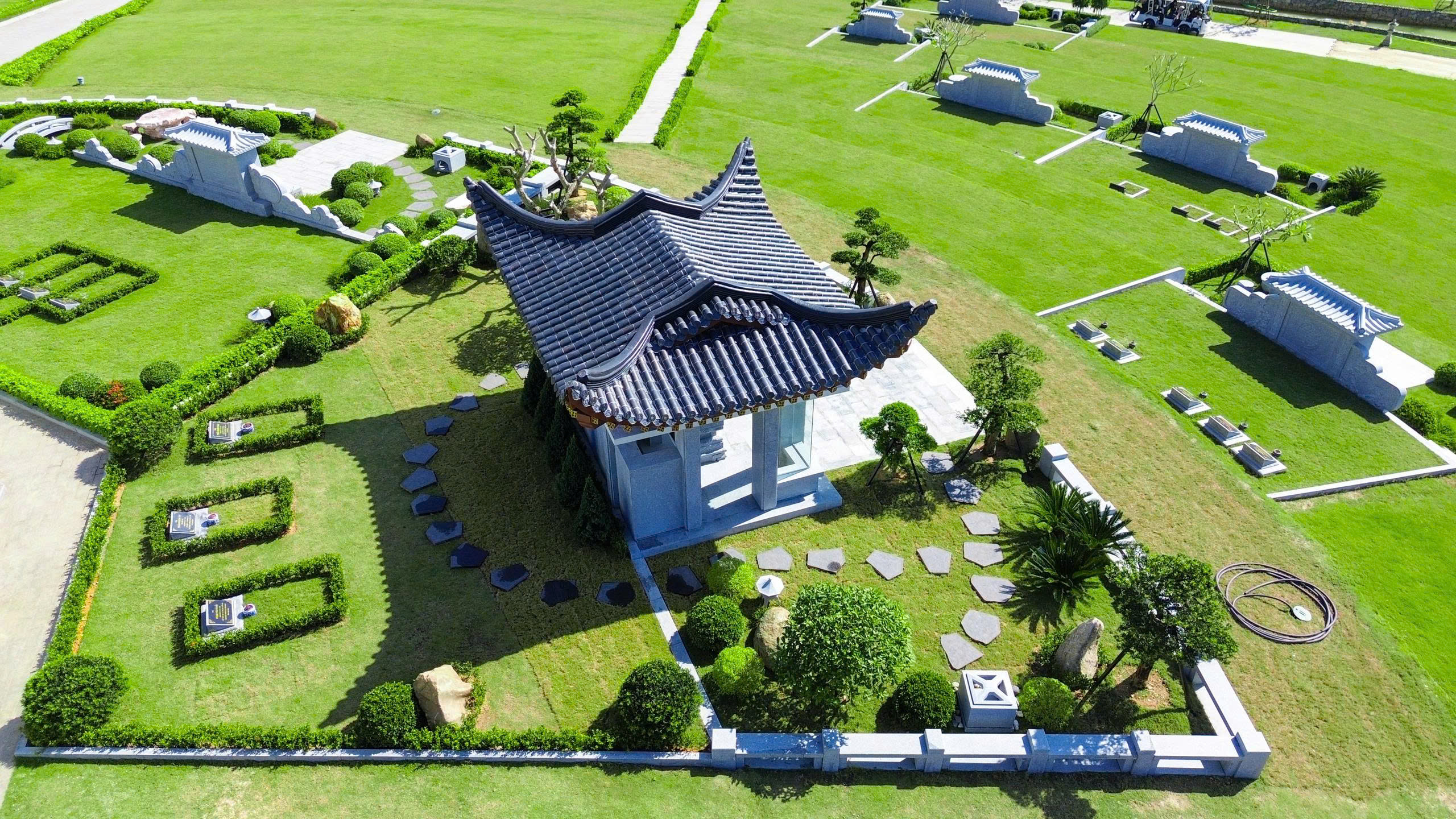 86e990fee9a166ff3fb02