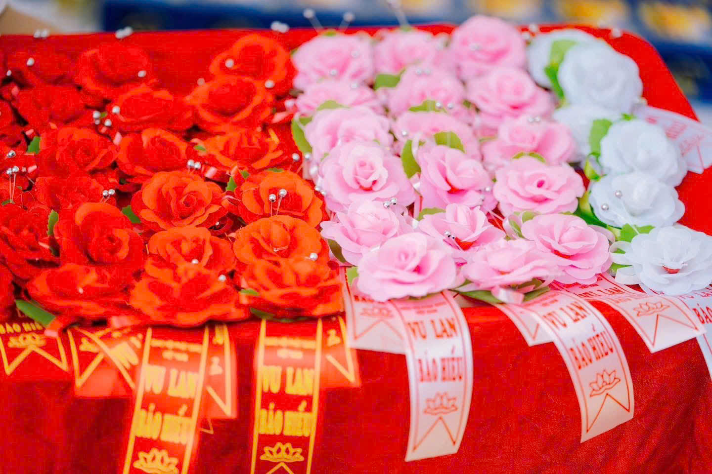 z6956467279988_a250724967944f09ef1b992a23e0ffd3