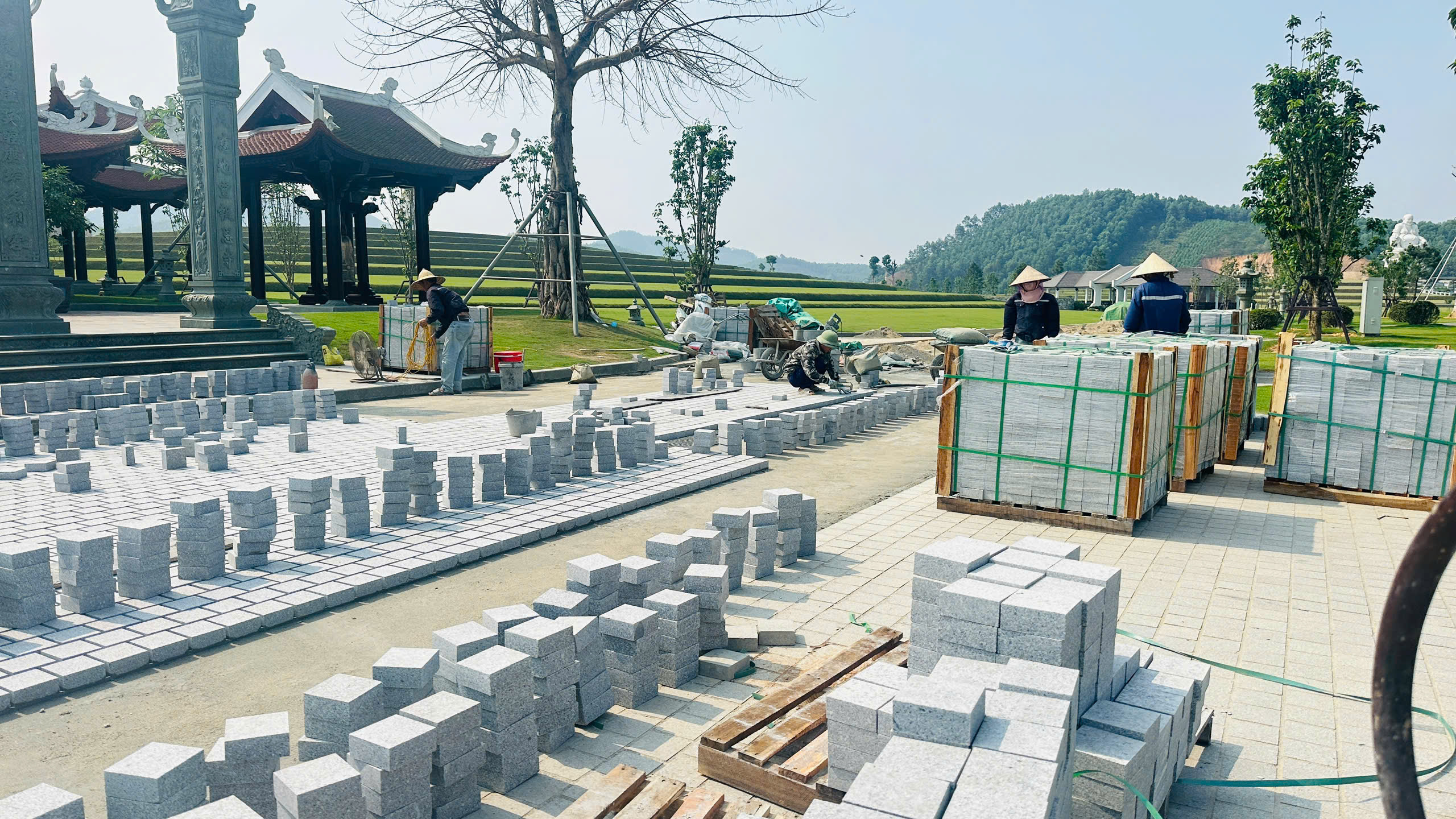 z6533779773956_924e905720d42361e6513603b9f26387