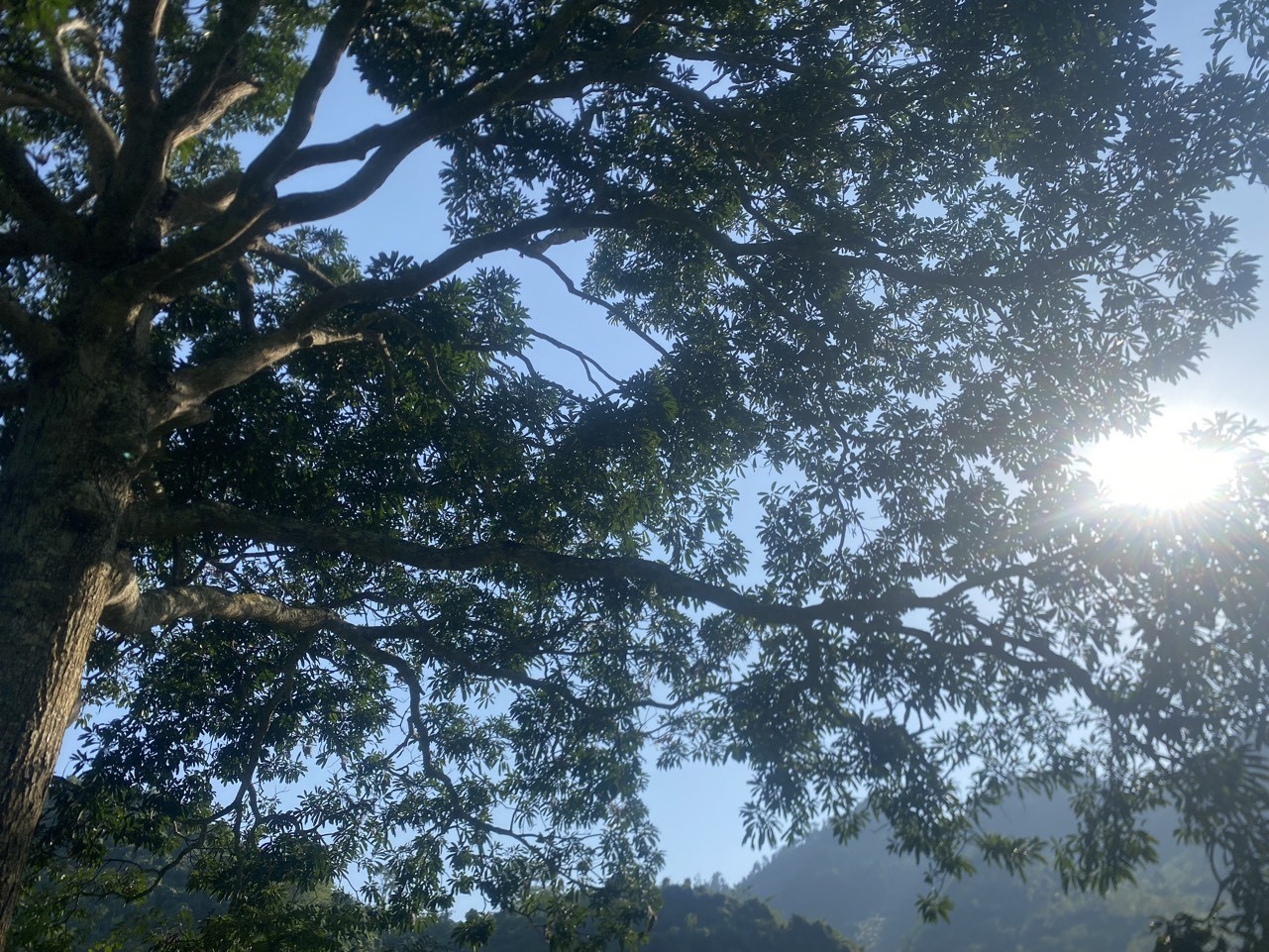 z5496504337520_fe64eb1df46dbdfadc5635c063a4b9b1