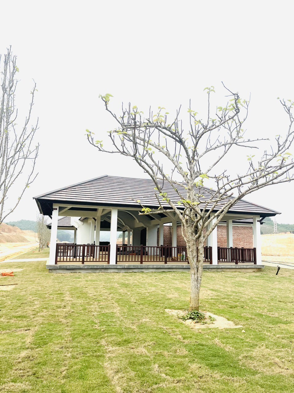 z4015161657979_6a43b6a2d8bf2b6bc6602866355ae8f5